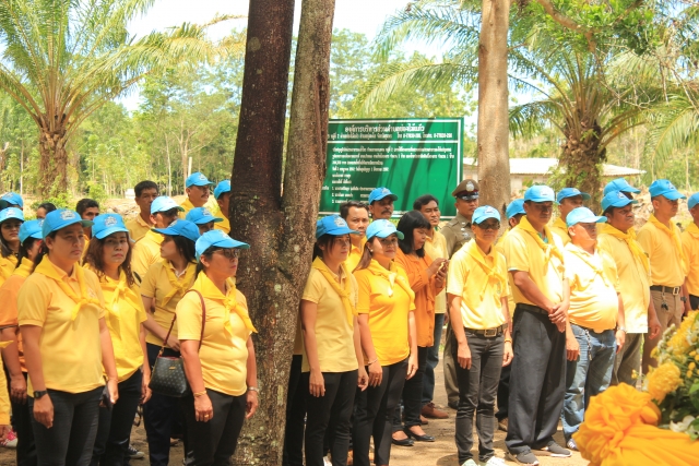 โครงการสวนสาธารณะเฉลิมพระเกียรติเนื่องในโอกาสมหามงคลพระราชพิธีบรมราชาภิเษก ในวันอาทิตย์ที่ 28 กรกฏาค
